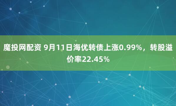 魔投网配资 9月11日海优转债上涨0.99%，转股溢价率22.45%